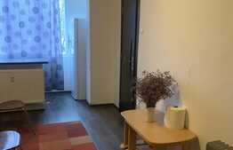 Apartament cu 1 camera, modern, 27 mp, zona strazii Rasaritului