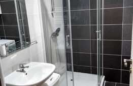 Apartament 2 camere decomandat, Corneliu Coposu, Dambul Rotund