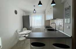 Apartament 2 camere decomandate, 55 mp, imobil nou,  zona Intre Lacuri