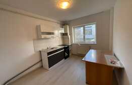 Apartament 1 camera, 40 mp, recent renovat, zona Observatorului