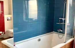 Apartament 2 camere LUX, decomandat, 65 mp, parcare subterana, zona strazii Buna Ziua