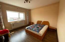Apartament 4 camere, 120 mp, 2 terase, pet friendly, zona Pod IRA