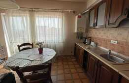Apartament 4 camere, 120 mp, 2 terase, pet friendly, zona Pod IRA