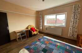 Apartament 4 camere, 120 mp, 2 terase, pet friendly, zona Pod IRA