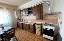 Apartament 4 camere, 120 mp, 2 terase, pet friendly, zona Pod IRA