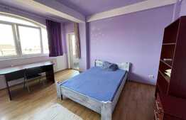 Apartament 4 camere, 120 mp, 2 terase, pet friendly, zona Pod IRA