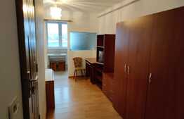 Garsoniera renovata, 22mp, mobilata utilata, zona Traian Vuia