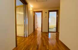 Casa individuala, 230 mp utili, curte 450 mp, garaj, zona Faget