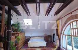 Casa deosebita, 200 mp utili, teren 400 mp, zona Faget