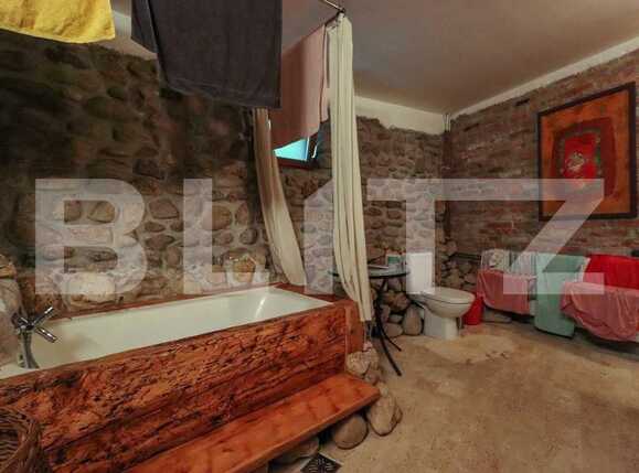 Casa de închiriat 4 camere Făget - 59636CI | BLITZ Cluj-Napoca | Poza6