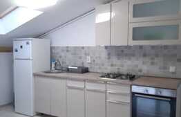 Apartament 2 camere, 45 mp, zona Tauti 