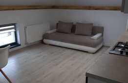 Apartament 2 camere, 45 mp, zona Tauti 
