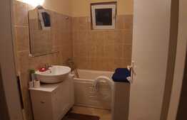 Apartament, 2 camere decomandate, 50 mp, Gheorghe Doja, petfriendly!