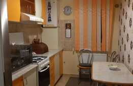 Apartament, 2 camere decomandate, 50 mp, Gheorghe Doja, petfriendly!