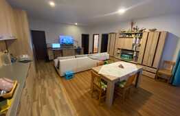 3 camere, 74 mp, parcare, mobilat! Zona strazii Sub Cetate!