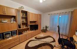 2 camere, 56 mp, terasa de 13 mp, decomandat, zona Porii