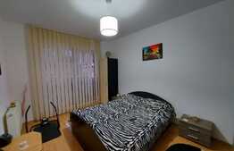 2 camere, 56 mp, terasa de 13 mp, decomandat, zona Porii