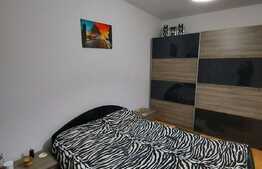 2 camere, 56 mp, terasa de 13 mp, decomandat, zona Porii