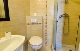 Casa individuala cu 8 camere, 250 mp utili, garaj, curte, zona strazii Traian 