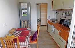 Apartament cu 2 camere, decomandat, loc de parcare , pet friendly, 54mp,  zona strazi Ariasului 