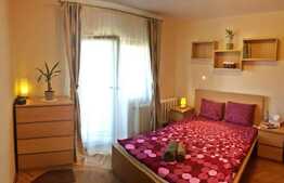 Apartament cu 2 camere, decomandat, loc de parcare , pet friendly, 54mp,  zona strazi Ariasului 