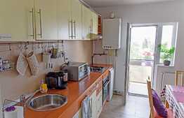 Apartament cu 2 camere, decomandat, loc de parcare , pet friendly, 54mp,  zona strazi Ariasului 