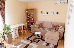 Apartament cu 2 camere, decomandat, loc de parcare , pet friendly, 54mp,  zona strazi Ariasului 