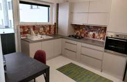 Garsoniera spatioasa si luxoasa, decomandata, zona Sanpetru