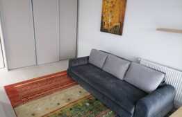 Garsoniera spatioasa si luxoasa, decomandata, zona Sanpetru