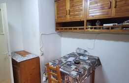 Apartament cu 3 camere, partial mobilat, 70 de mp, pet friendly, zona strazii Brancusi