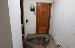 Apartament cu 3 camere, partial mobilat, 70 de mp, pet friendly, zona strazii Brancusi