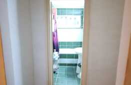 Apartament cu 3 camere, partial mobilat, 70 de mp, pet friendly, zona strazii Brancusi