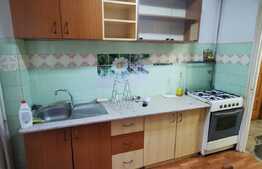 Apartament cu 3 camere, partial mobilat, 70 de mp, pet friendly, zona strazii Brancusi