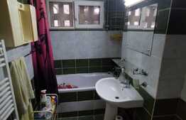 Apartament cu 3 camere, partial mobilat, 70 de mp, pet friendly, zona strazii Brancusi