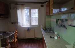 Apartament cu 3 camere, partial mobilat, 70 de mp, pet friendly, zona strazii Brancusi