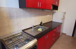 Apartament cu 2 camere, decomandat, 62 de mp, loc de parcare, pet friendly, zona Oncos