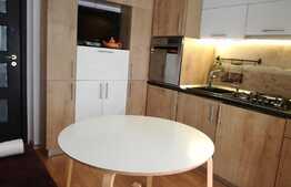 Vanzare 2 camere, 50 mp, TERASA de 13 mp, zona Porii!