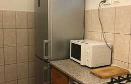 Garsoniera, 25 mp, parcare, zona strazii Eftimie Murgu