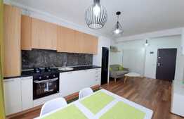 Apartament modern, 2 camere, 41 mp, zona Terra! LA CHEIE!