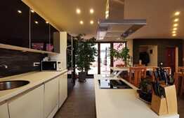 Apartament tip Penthouse, 2 camere, 128 mp, terasa 90 mp, zona Subcetate