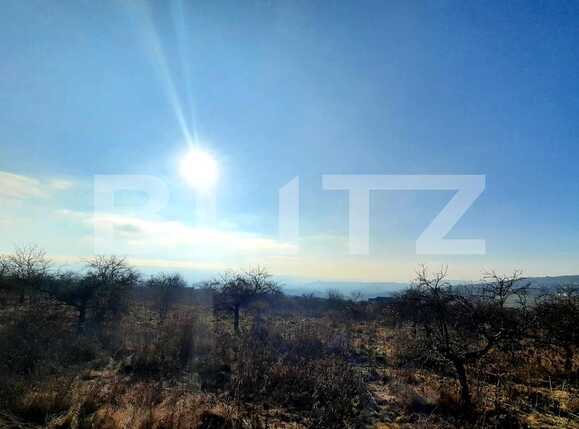 Teren de vânzare Iris - 59718TV | BLITZ Cluj-Napoca | Poza2