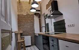 Apartament pretabil pentru o firma, zona Sora 