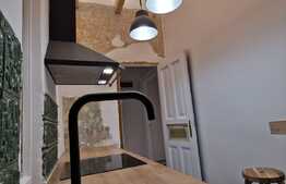 Apartament pretabil pentru o firma, zona Sora 