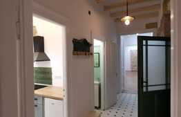 Apartament pretabil pentru o firma, zona Sora 