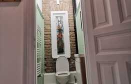 Apartament pretabil pentru o firma, zona Sora 