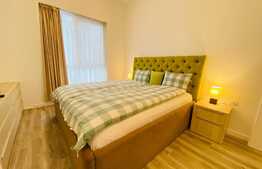 Apartament de lux cu 2 camere, 65 mp, A.C, pet friendly, parcare, zona Tetarom