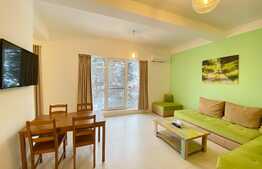 Apartament de lux cu 2 camere, 65 mp, A.C, pet friendly, parcare, zona Tetarom