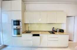 Apartament de lux cu 3 camere, 105 mp, AC, garaj, pet friendly, parcare, zona Tetarom