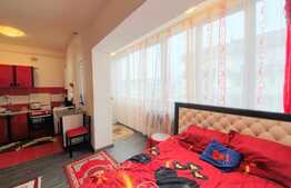Vanzare apartament cu 1 camera, mobilat, zona Terra!