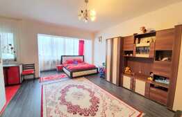 Vanzare apartament cu 1 camera, mobilat, zona Terra!